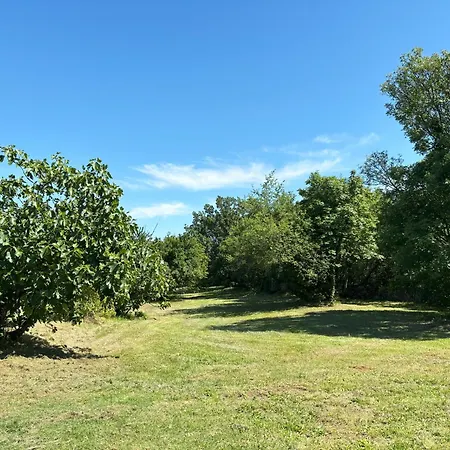 Anna Apartman Trieszt